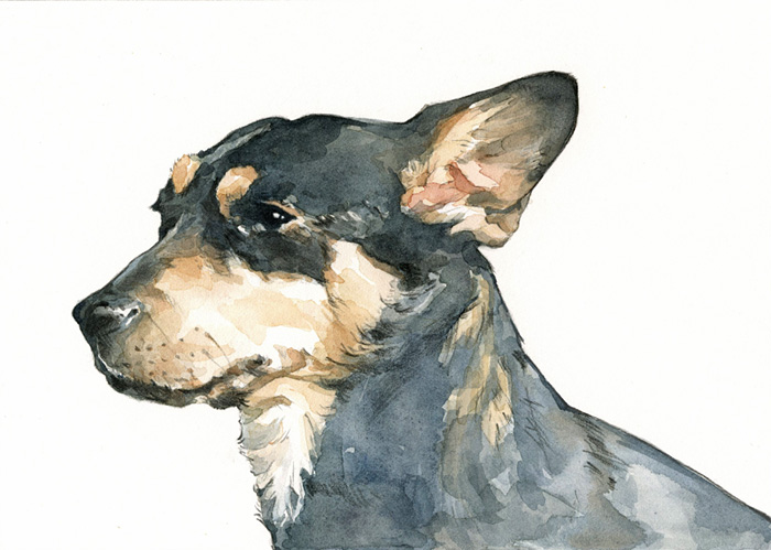 shortywatercolor