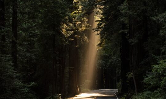 Con duong JOHN TOWNER Unsplash 540x321