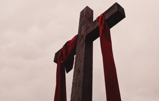 Thanh gia Alicia Quan Unsplash 540x343