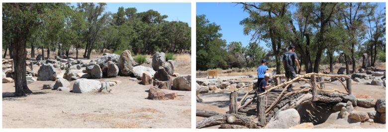 Thuy Nhu Cai ban go tu Manzanar.2 780x266