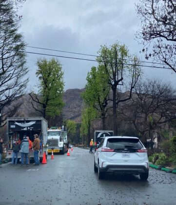 Thuy Nhu Nu Hong Tu Altadena 1 361x420