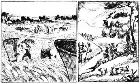 TranVanChanh HocThuocLong2