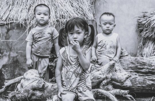 Tre em vietnam Pixabay 1 540x353