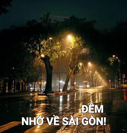demnhovesg