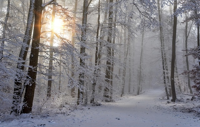 snow 4668099 640