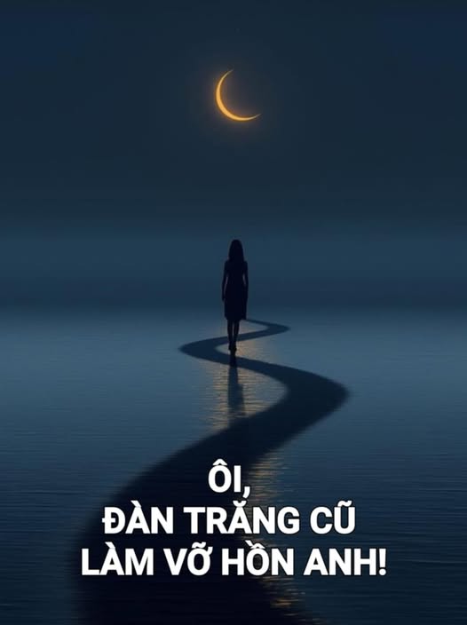trangcungtienphm