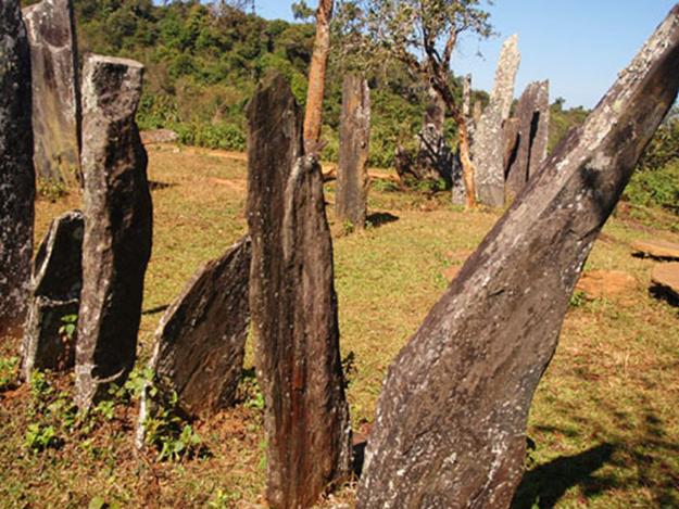 nguoihoa1