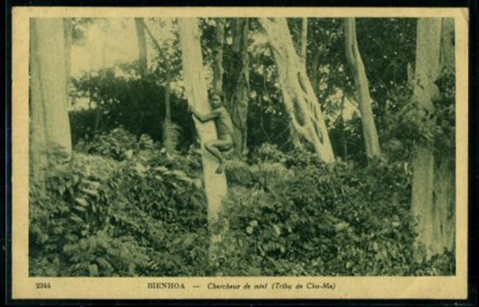 nguoihoa8