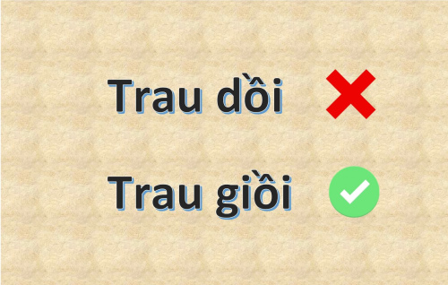 traugioi1