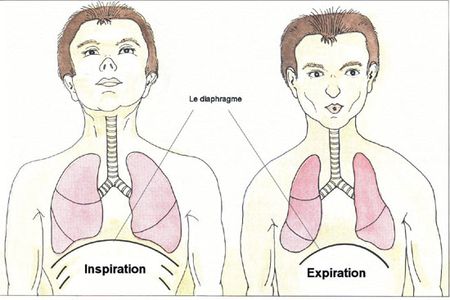 InspiraionRespiration