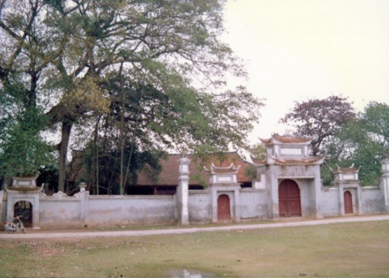 denngu