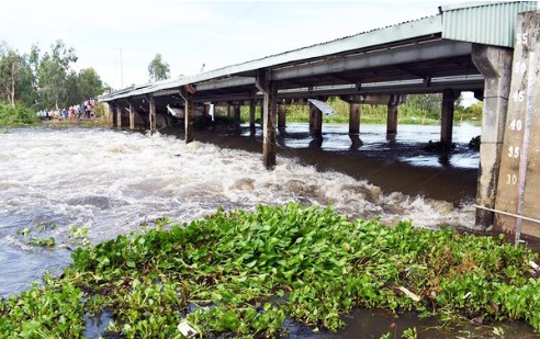 ngothevinh12