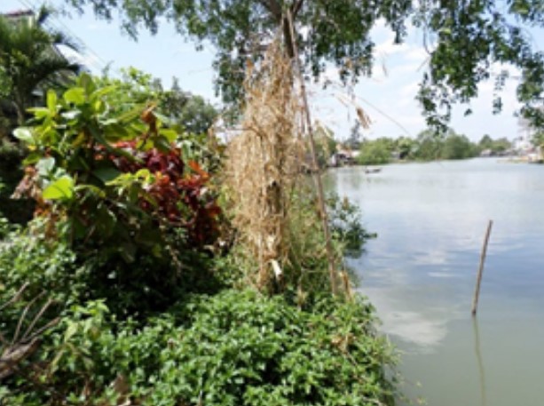 nhanhsongcaulo