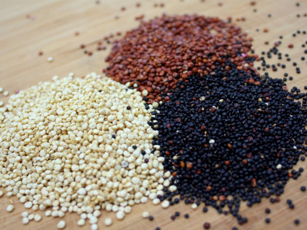 quinoa01