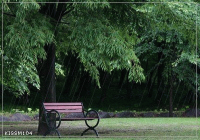 color rain047
