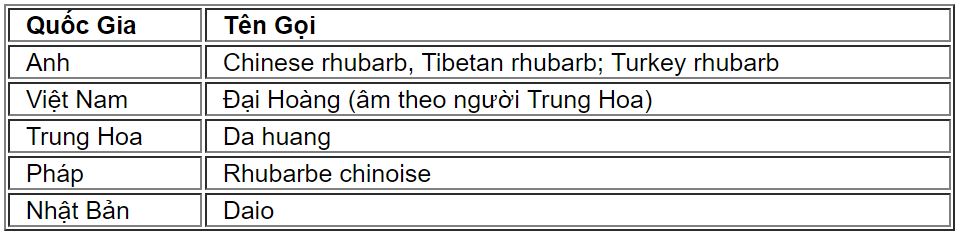 daihoang1
