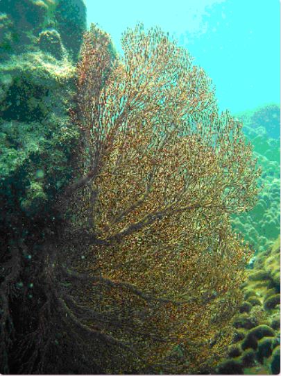 phuquoc3