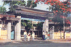 PCT1980