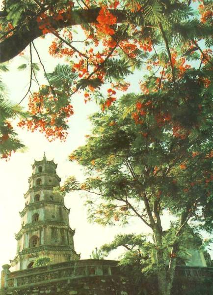Phuong2