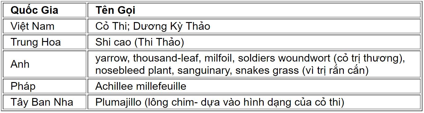 huyettien8