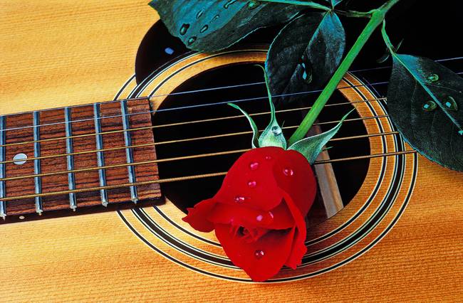 Guitar with single red rose art