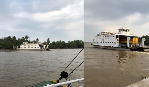 tranthevinh6