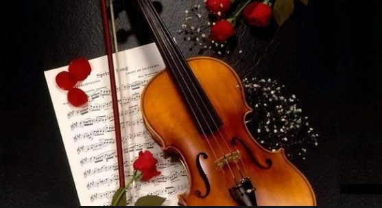 violin