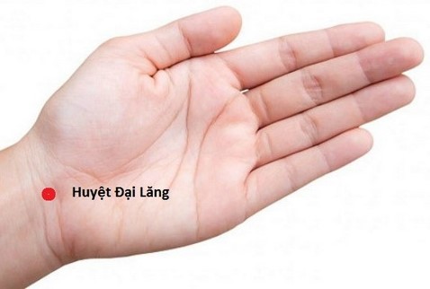 dailang
