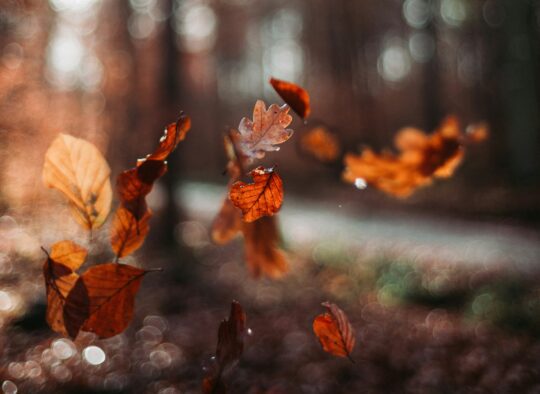 La rung Oliver Hihn Unsplash 540x394